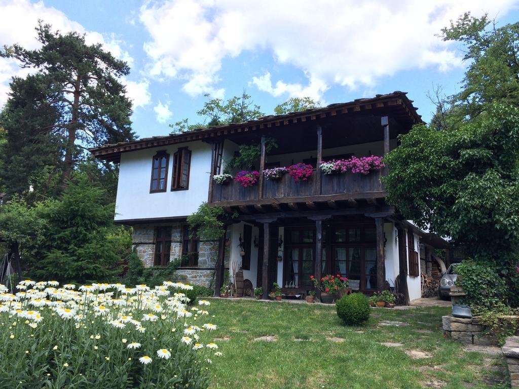 בוז'נצי Stefanina Guesthouse מראה חיצוני תמונה