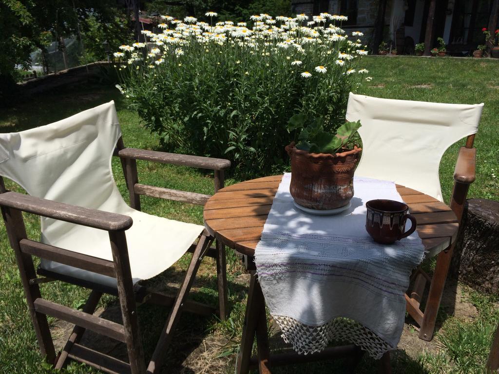 בוז'נצי Stefanina Guesthouse מראה חיצוני תמונה