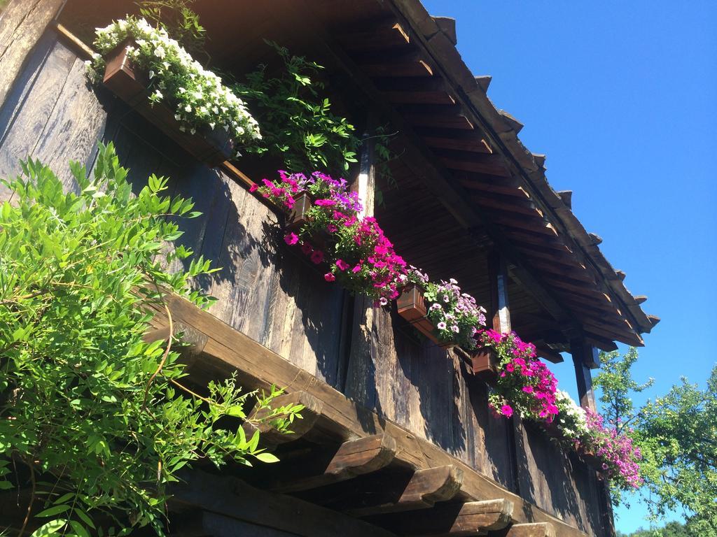 בוז'נצי Stefanina Guesthouse מראה חיצוני תמונה