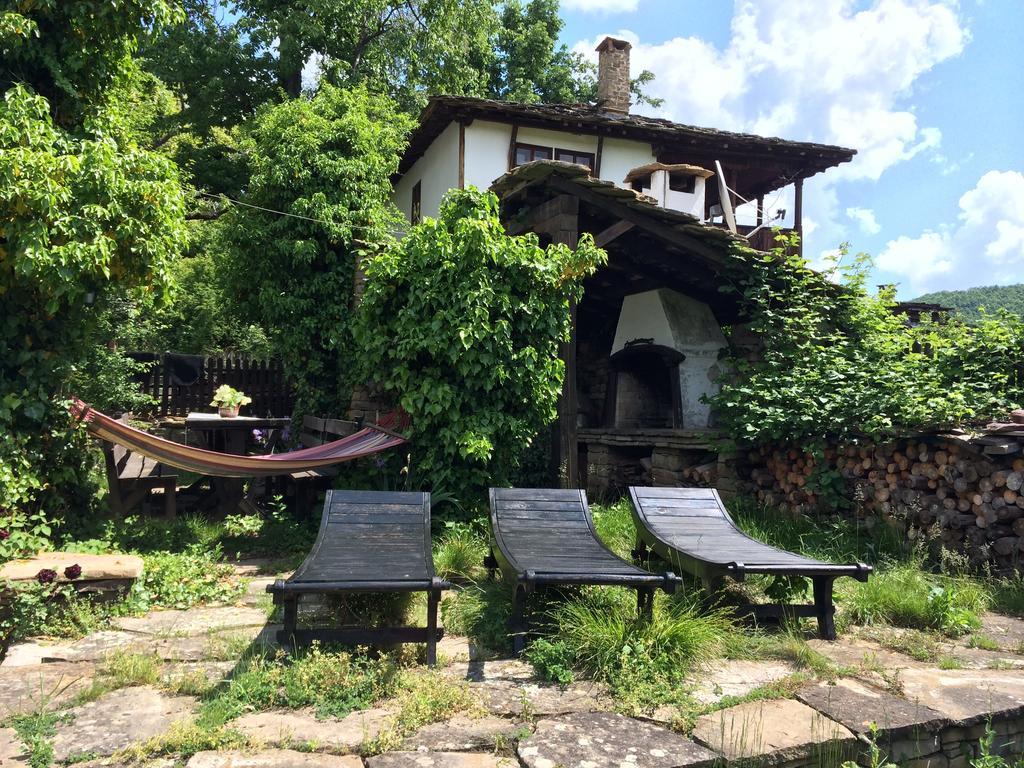 בוז'נצי Stefanina Guesthouse מראה חיצוני תמונה