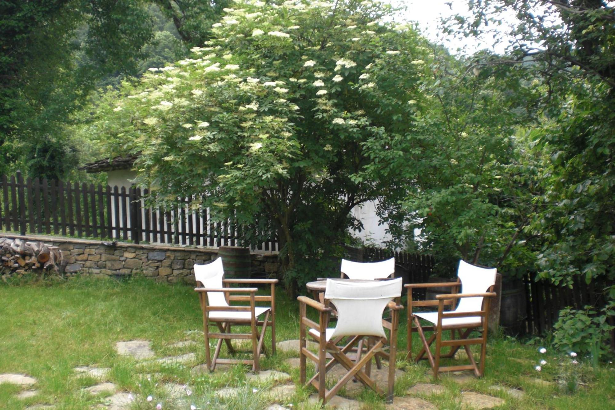 בוז'נצי Stefanina Guesthouse מראה חיצוני תמונה