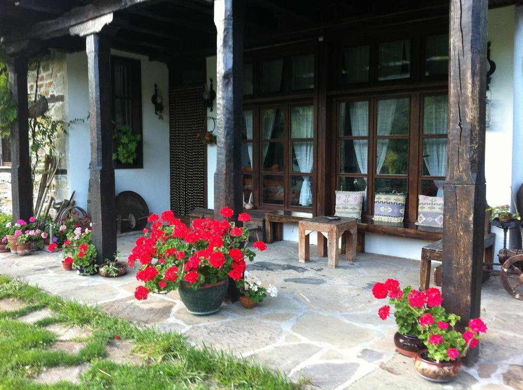 בוז'נצי Stefanina Guesthouse מראה חיצוני תמונה
