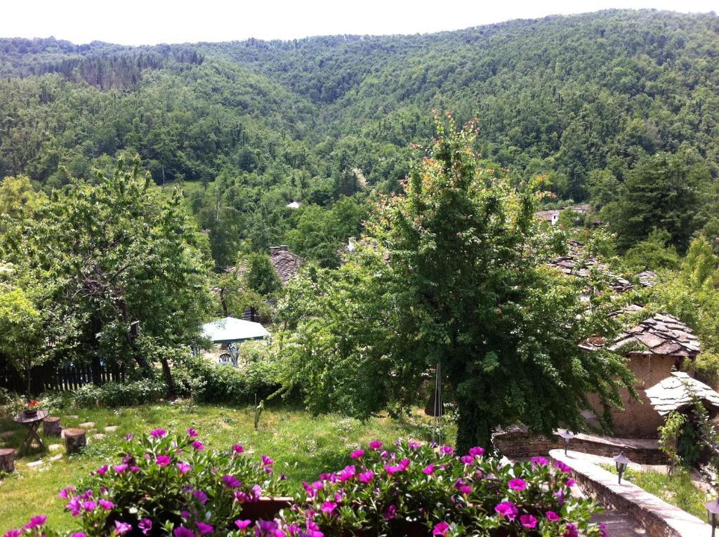 בוז'נצי Stefanina Guesthouse מראה חיצוני תמונה